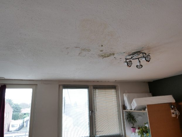 Feuchtigkeitsfleck an der Raumdecke in einer Aachener Wohnung
