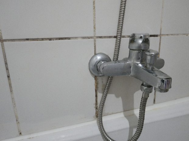 Schimmelpilzbefall in Fliesenfugen im Sanitärbereich